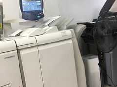 雷焰圖文設(shè)計(jì)制作 深耕上海，鑄就專業(yè)視覺與印刷服務(wù)典范